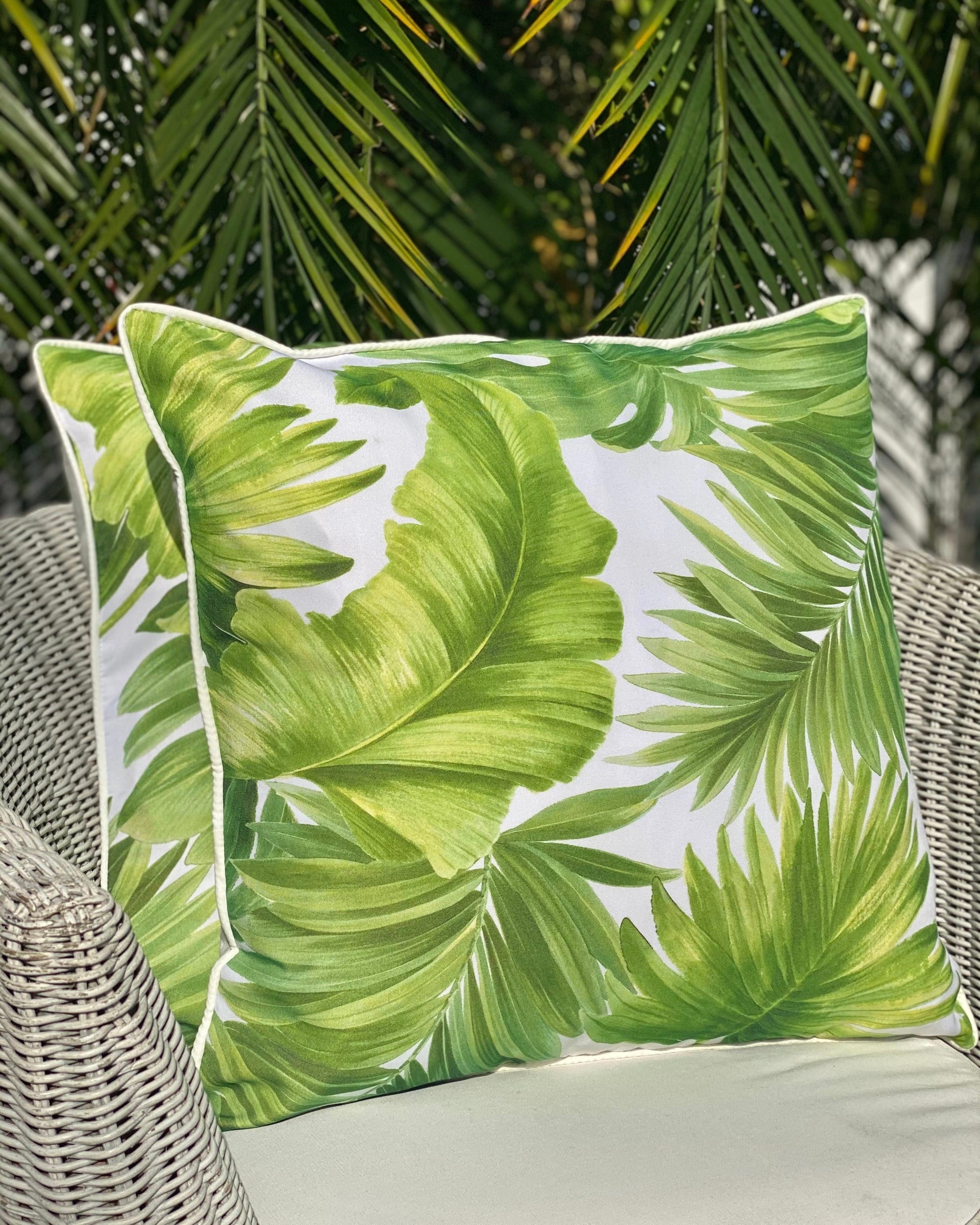 Tropical leaf 2024 cushion covers